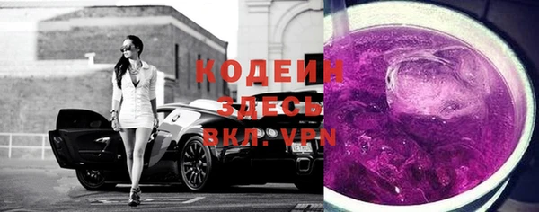 ГАЛЛЮЦИНОГЕННЫЕ ГРИБЫ Семёнов