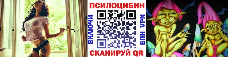 купить наркотик  Зверево  Галлюциногенные грибы Psilocybine cubensis 